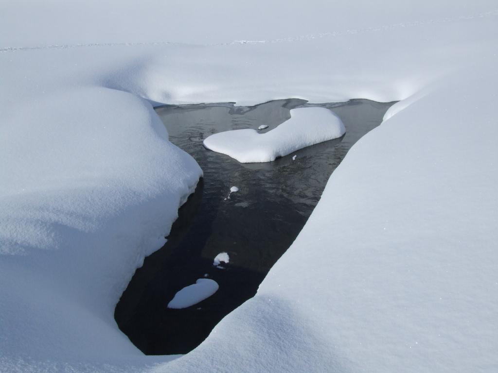 Click to see next picture