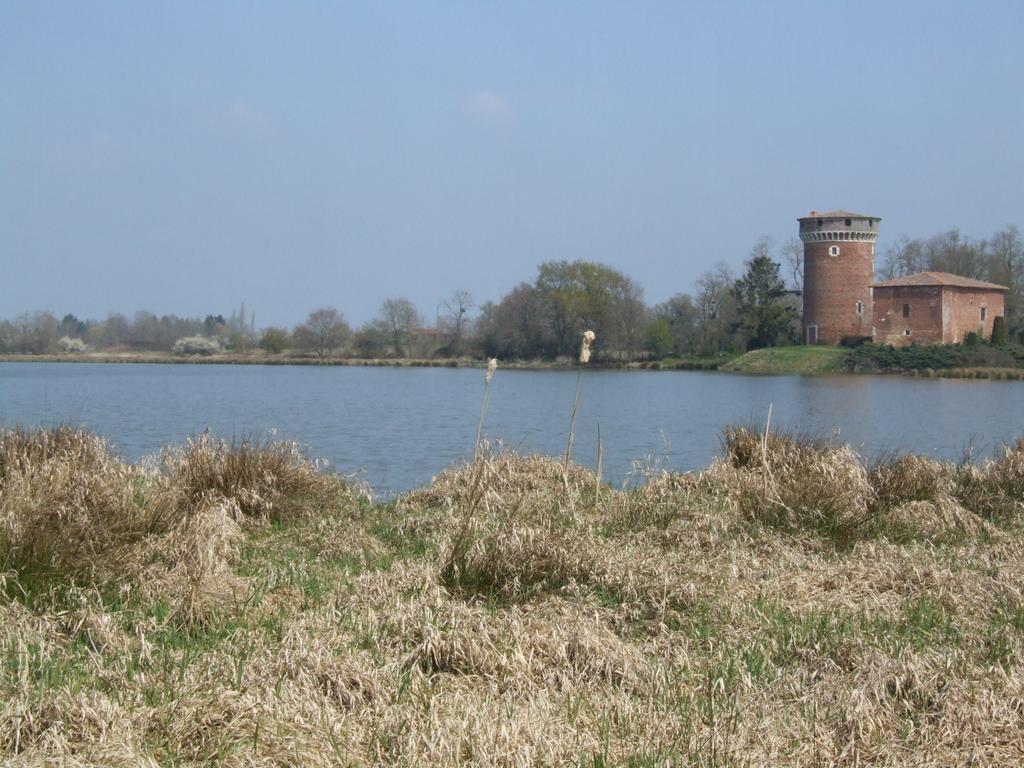 Click to see next picture