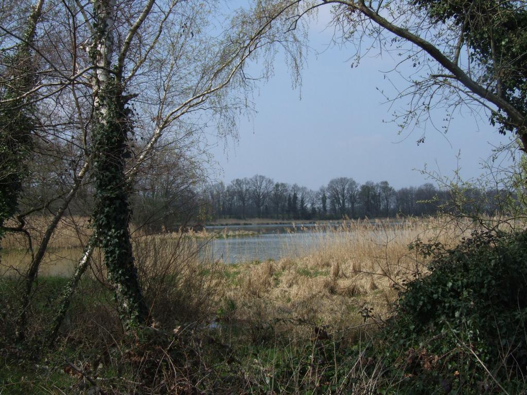 Click to see next picture