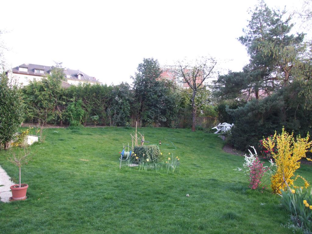 Cliquer pour voir l'image suivante