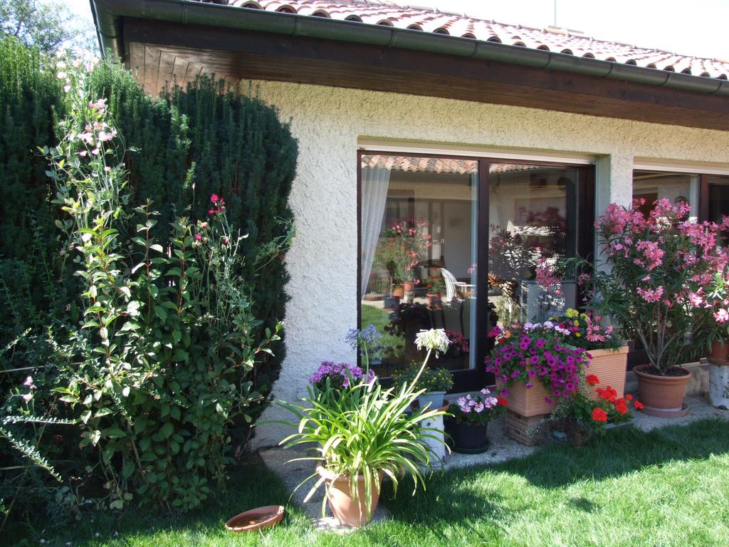 Cliquer pour voir l'image suivante