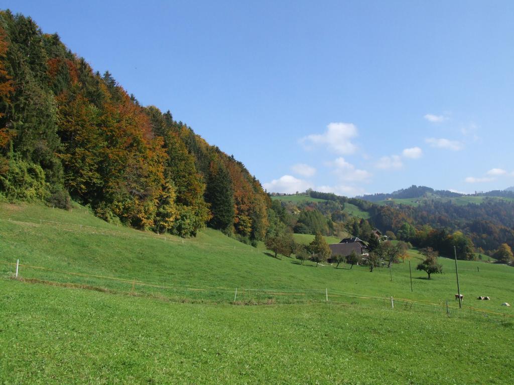 Clic pour voir l'image suivante