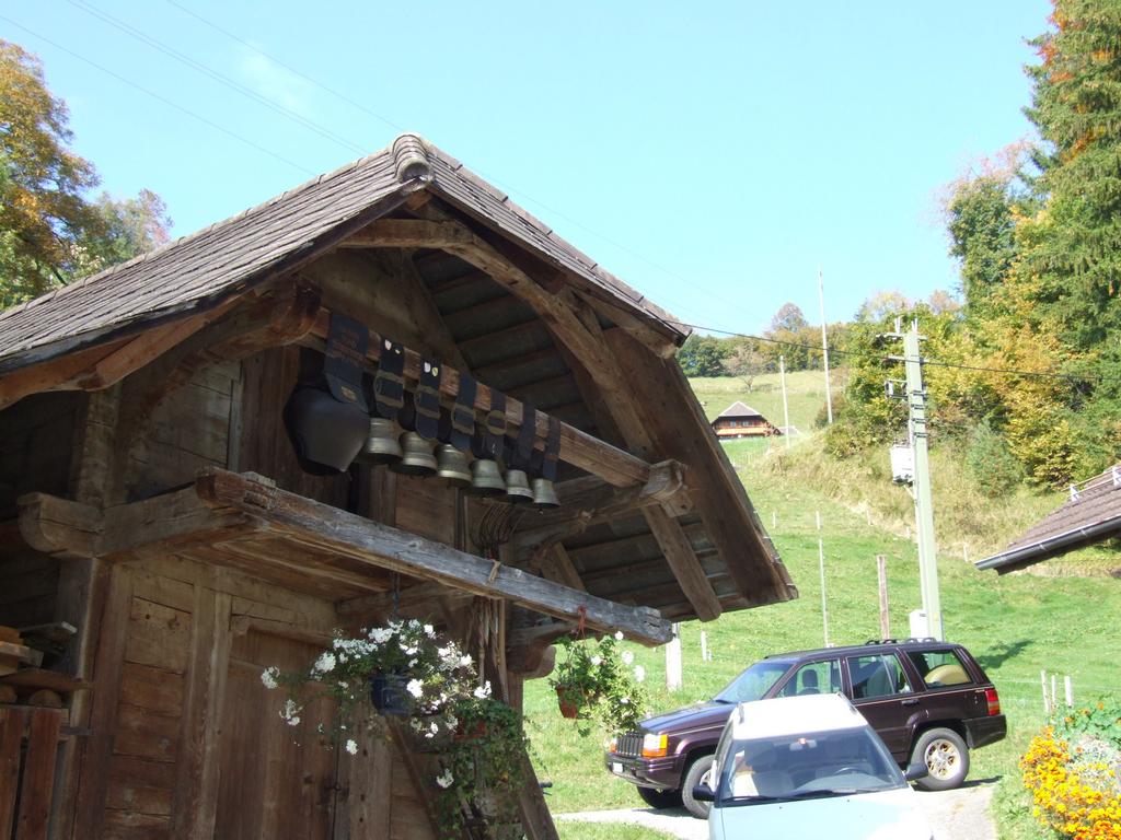 Clic pour voir l'image suivante