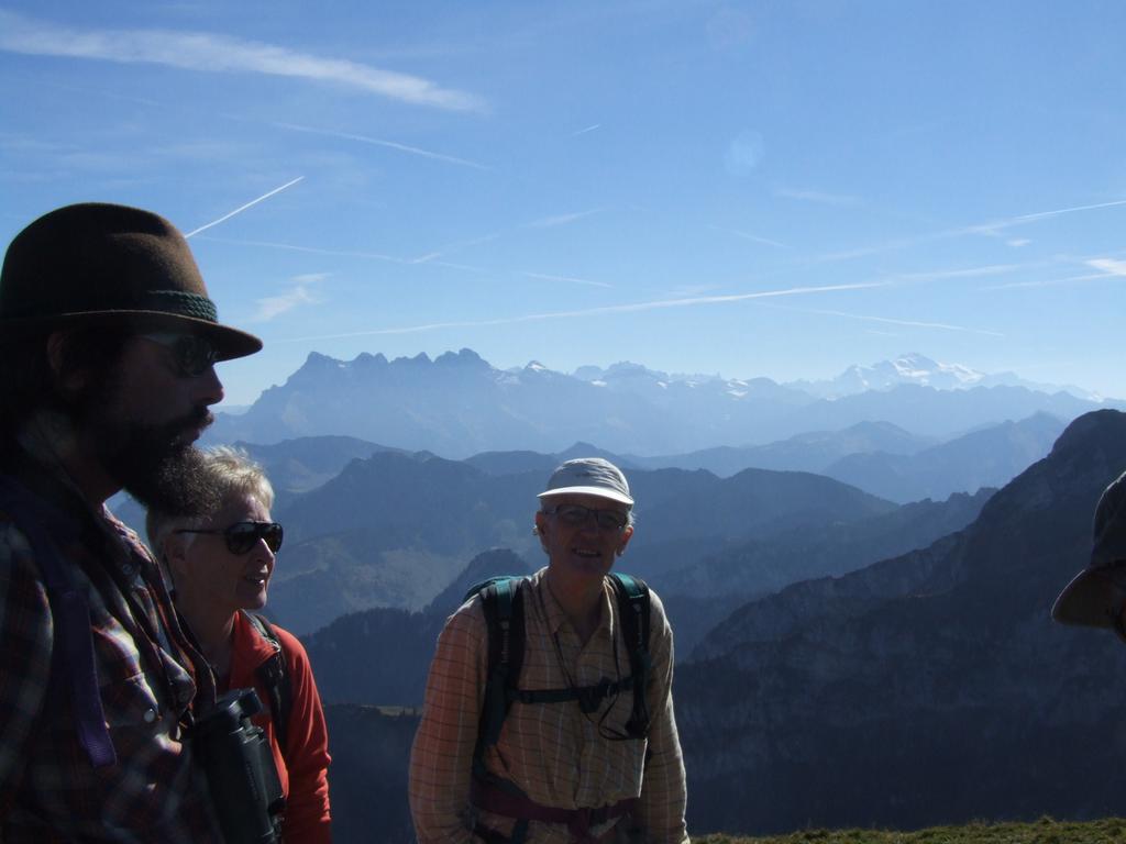 Clic pour voir l'image suivante