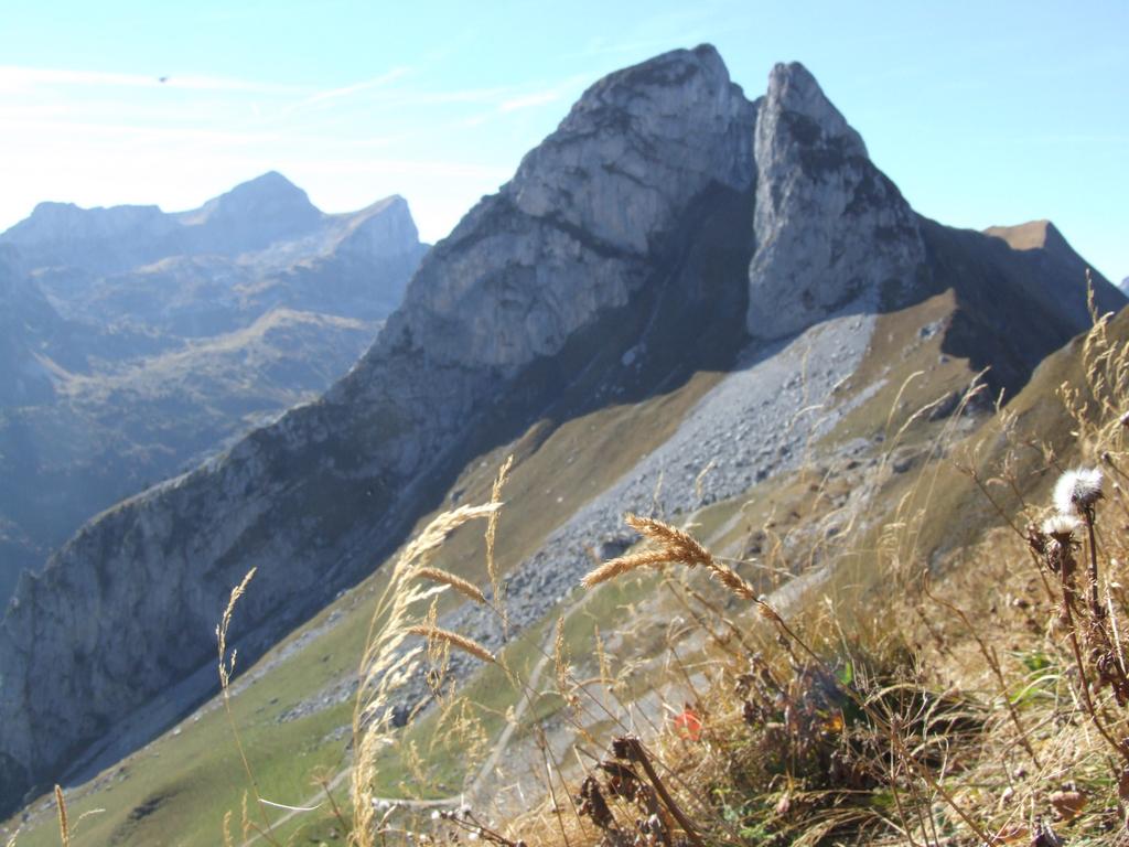 Clic pour voir l'image suivante