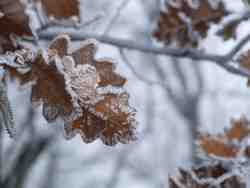 Clic pour agrandir l'îmage (1024x768 pixels; 71 KB)