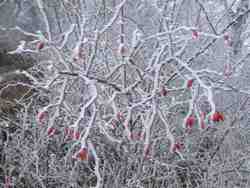 Clic pour agrandir l'îmage (1024x768 pixels; 171 KB)