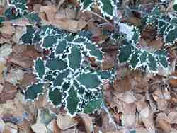 Clic pour agrandir l'îmage (1024x768 pixels; 170 KB)