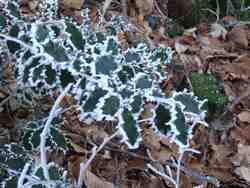 Clic pour agrandir l'îmage (1024x768 pixels; 169 KB)