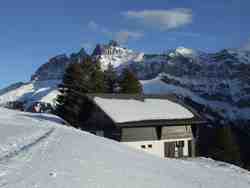 Clic pour agrandir l'îmage (1024x768 pixels; 96 KB)