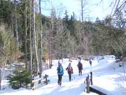 Clic pour agrandir l'îmage (1024x768 pixels; 194 KB)