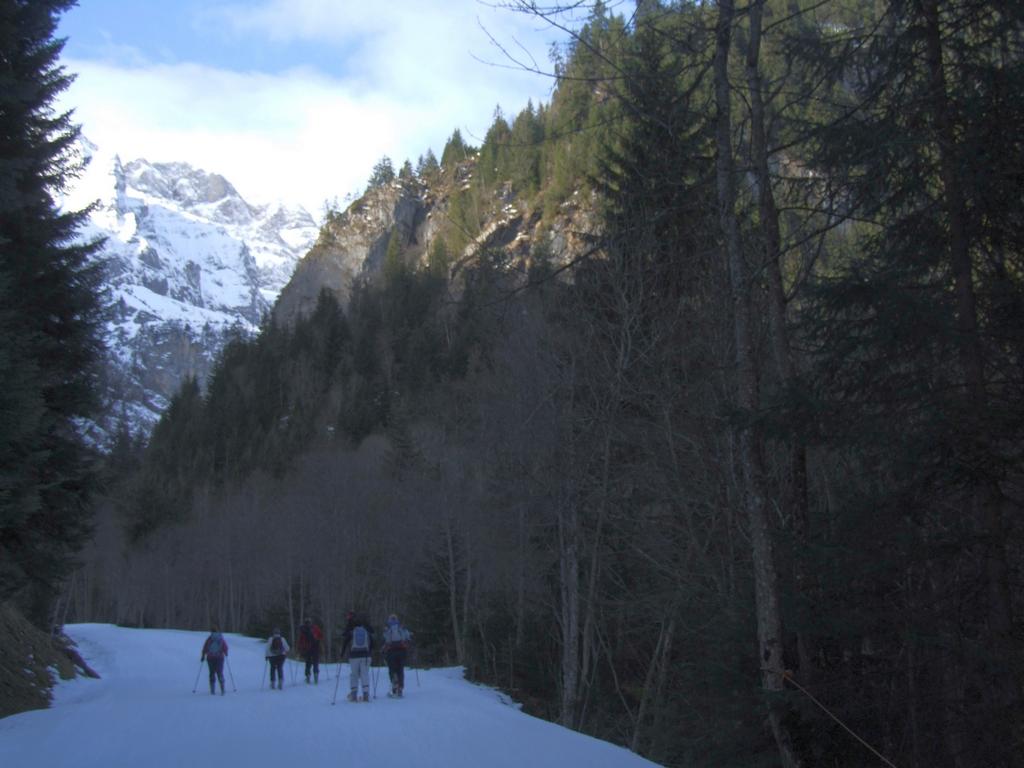 Clic pour voir l'image suivante