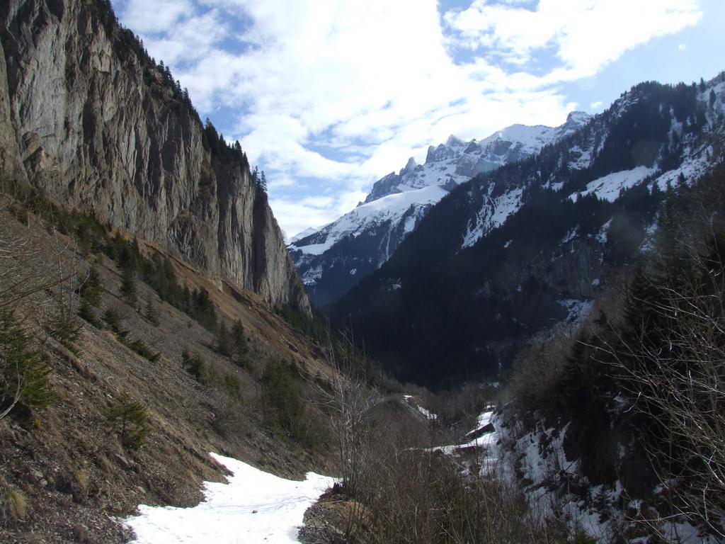 Clic pour voir l'image suivante