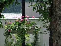 Clic pour agrandir l'mage (2816x2112 pixels; 17424 KB)