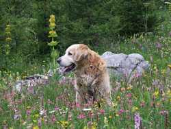 Clic pour agrandir l'mage (1024x768 pixels; 210 KB)