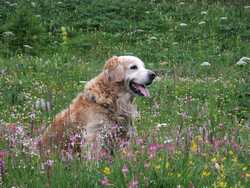 Clic pour agrandir l'mage (1024x768 pixels; 203 KB)