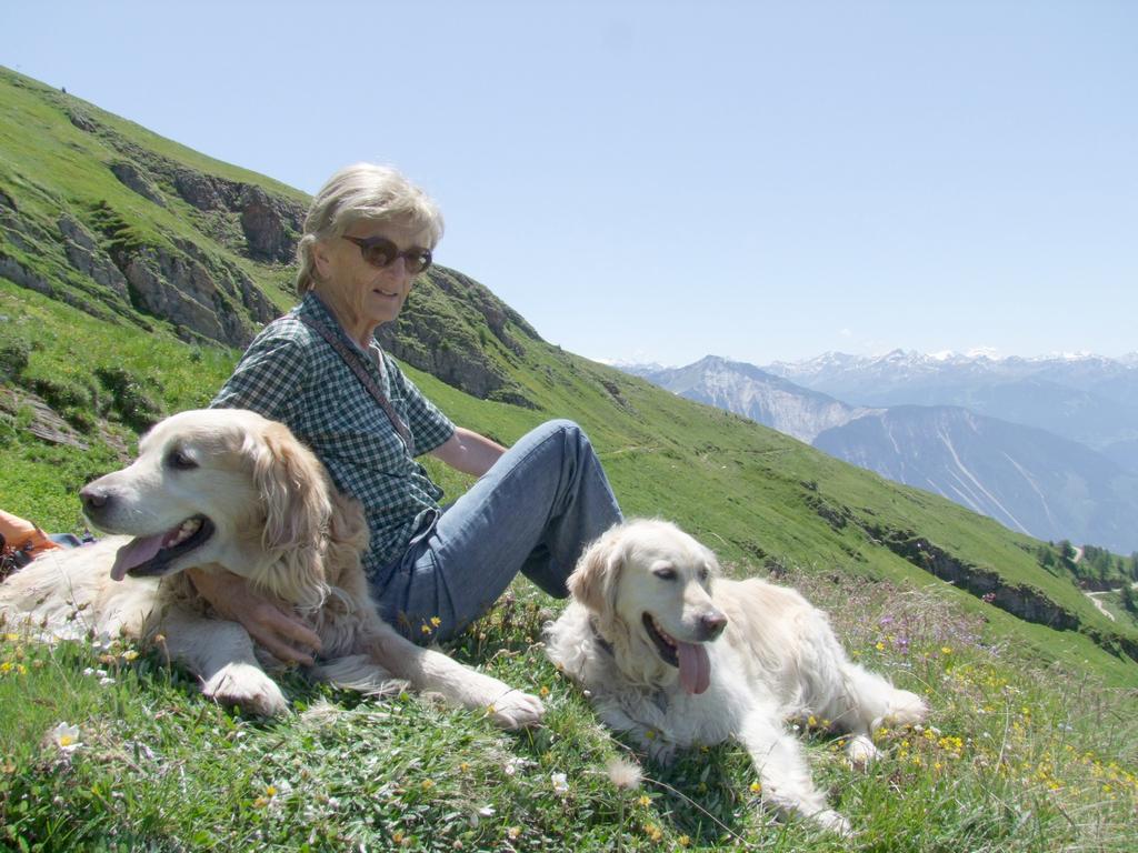 Clic pour voir l'image suivante