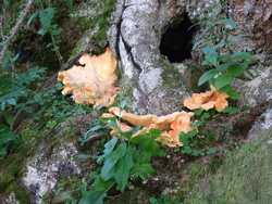 Clic pour agrandir l'�mage (1024x768 pixels; 214 KB)