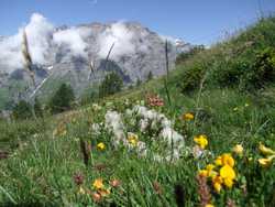 Clic pour agrandir l'�mage (1024x768 pixels; 187 KB)