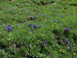 Clic pour agrandir l'�mage (1024x768 pixels; 294 KB)