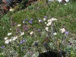 Clic pour agrandir l'�mage (1024x768 pixels; 243 KB)