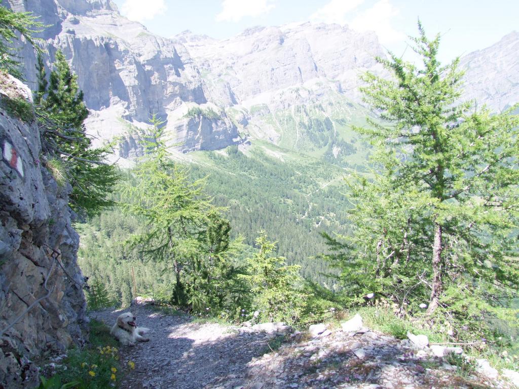 Clic pour voir l'image suivante