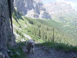 Clic pour agrandir l'�mage (1024x768 pixels; 150 KB)