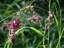 Clic pour agrandir l'�mage (1024x768 pixels; 123 KB)