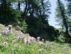 Clic pour agrandir l'îmage (800x600 pixels; 164 KB)