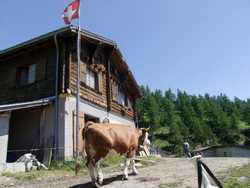 Clic pour agrandir l'îmage (800x600 pixels; 95 KB)