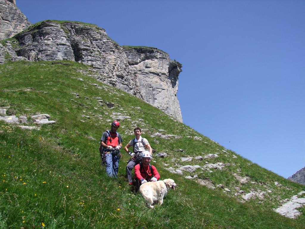 Clic pour voir l'image suivante