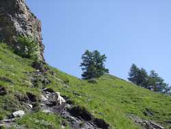 Clic pour agrandir l'îmage (1024x768 pixels; 161 KB)