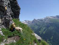 Clic pour agrandir l'îmage (1024x768 pixels; 155 KB)