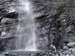 Clic pour agrandir l'îmage (1024x768 pixels; 251 KB)