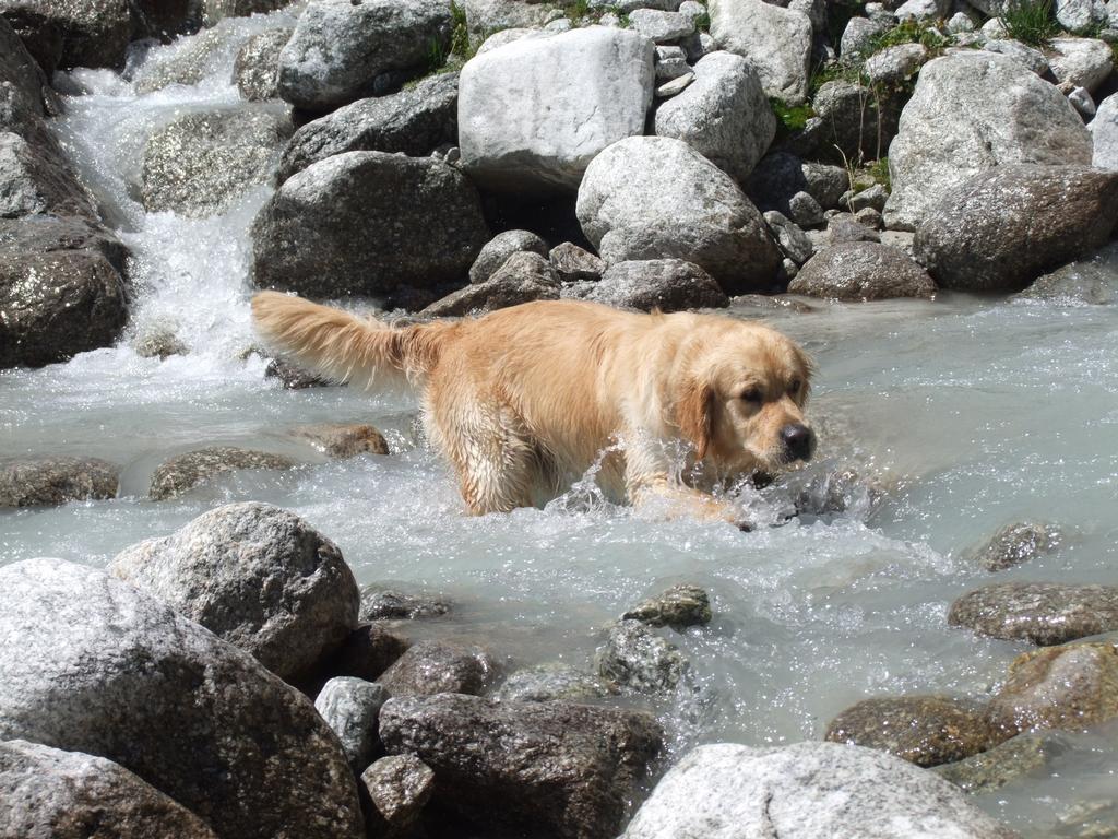 Pour l'image suivante