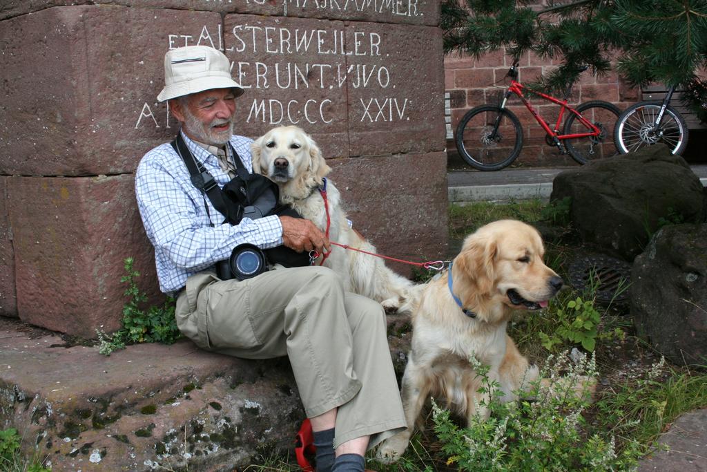 Pour l'image suivante