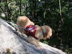 Pour agrandir l'image (1024x768 pixels; 196 KB)