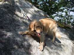 Pour agrandir l'image (1024x768 pixels; 207 KB)