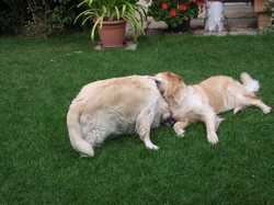 Pour agrandir l'image (1024x768 pixels; 173 KB)