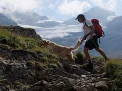 Pour agrandir l'image (1024x768 pixels; 150 KB)