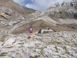 Pour agrandir l'image (1024x768 pixels; 210 KB)