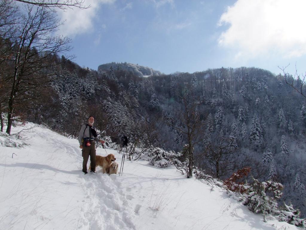 Pour l'image suivante