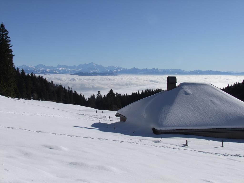 Pour l'image suivante