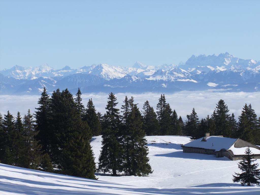 Pour l'image suivante