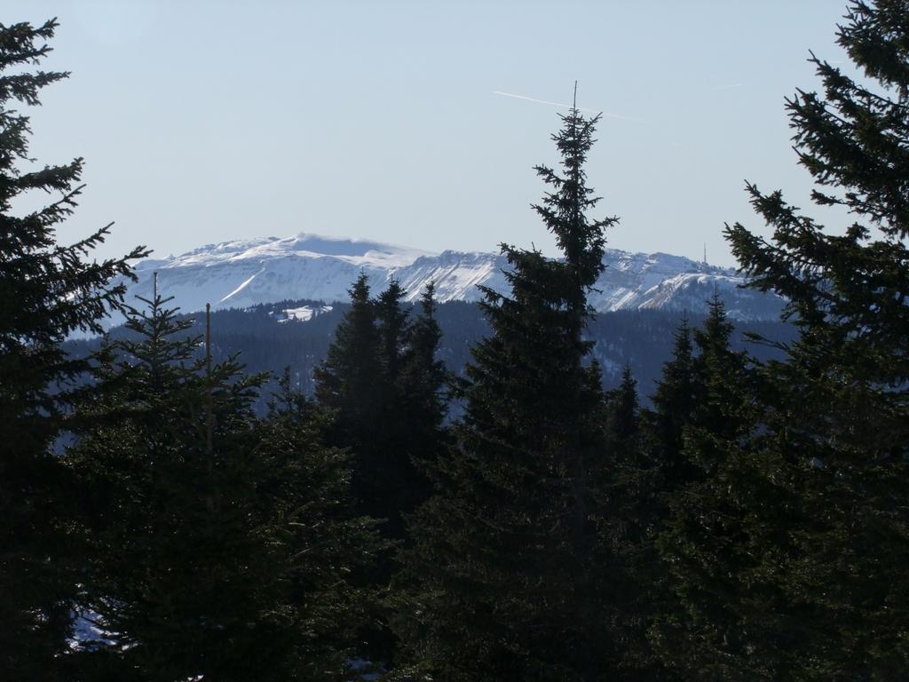 Pour l'image suivante