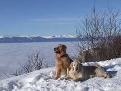 Pour agrandir l'image (1024x768 pixels; 131 KB)