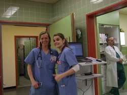 Pour agrandir l'image (1024x768 pixels; 115 KB)