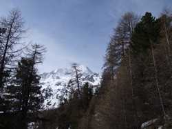 Pour agrandir l'image (1024x768 pixels; 150 KB)