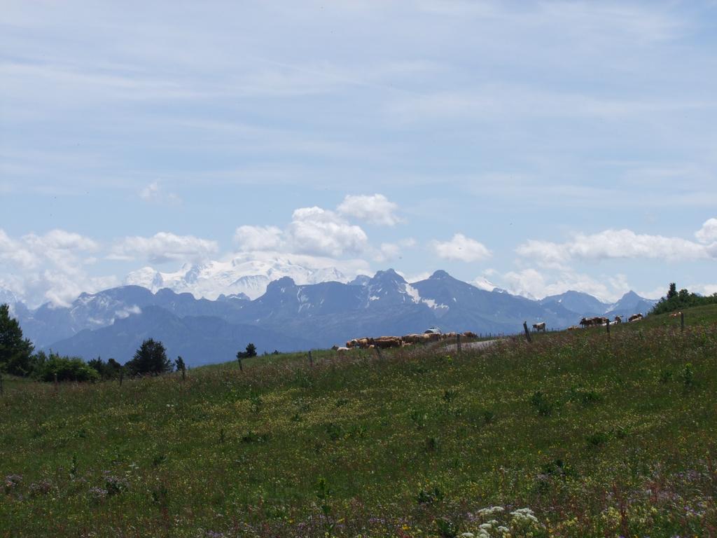 Pour l'image suivante