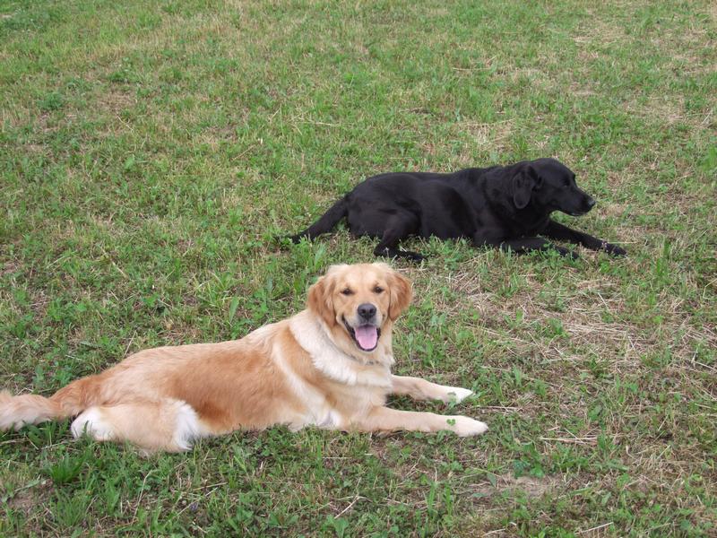 Pour l'image suivante